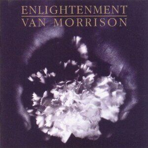 van morrison enlightment mint 1990 cd - them blues folk rock moondance gloria